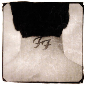 There Is Nothing Left to Lose: Vinyl 2LP
