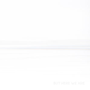 But Here We Are: Vinyl LP