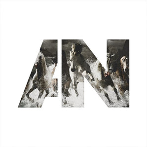 Run (10th Anniversary Deluxe Edition): Limitierte 3LP aus silber-weißem Vinyl