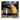 Der Traum ist vorbei: Vinyl-LP