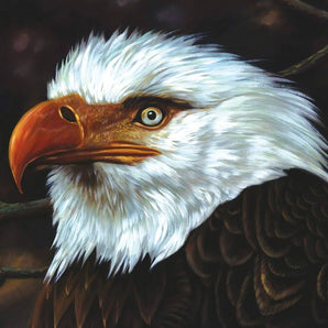 The Hawk Is Howling: Limitierte weiße Vinyl-Doppel-LP