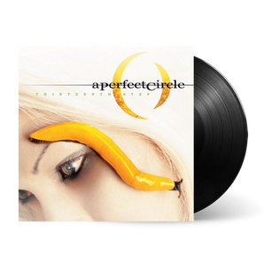 Thirteenth Step: Vinyl LP