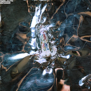 Dogsbody: Vinyl-LP