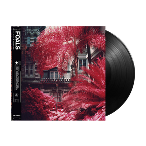 Everything Not Saved Will Be Lost - Part 1: Vinyl LP