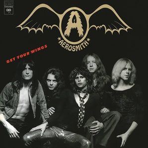 Get Your Wings: Vinyl LP