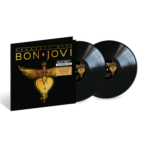 Greatest Hits: Vinyl 2LP