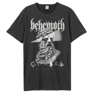 The Gods Grow Sick Of Us T-Shirt