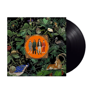 Amazing Things : Vinyle LP