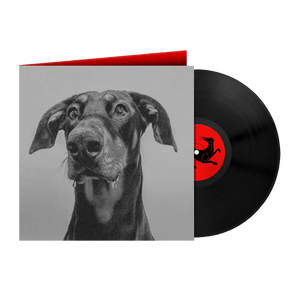 POSTINDUSTRIAL HOMETOWN BLUES: Vinyl LP