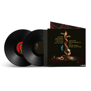 In Times New Roman... Vinyl 2LP