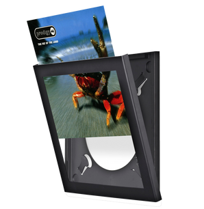 Black LP Flip Frame (4 Pack)
