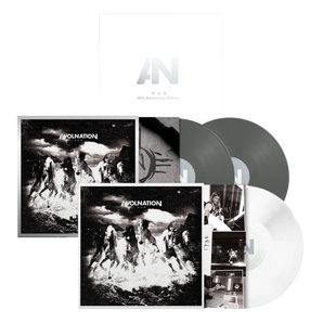 Run (10th Anniversary Deluxe Edition): Limitierte 3LP aus silber-weißem Vinyl
