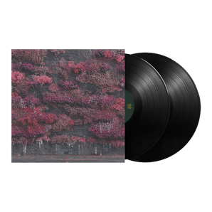 Even In Arcadia: Limited Vinyl 2LP