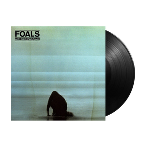 What Went Down: Vinyl LP